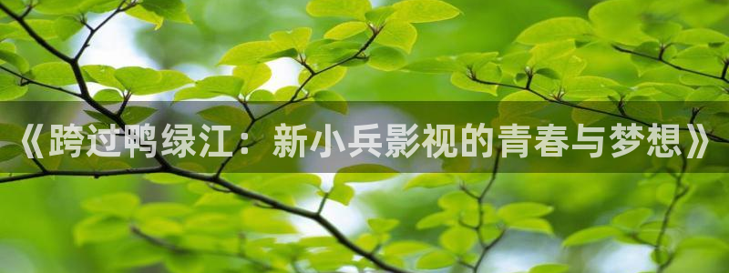 秋霞电影软件