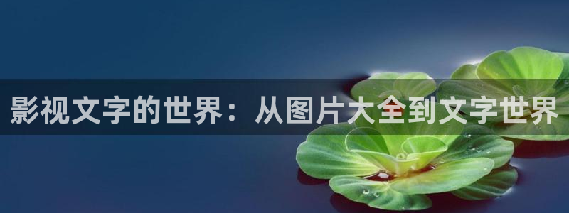 秋霞影音韩国